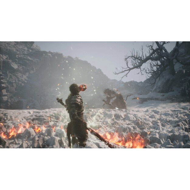 Black Myth: Wukong (Import)

  - PlayStation 5