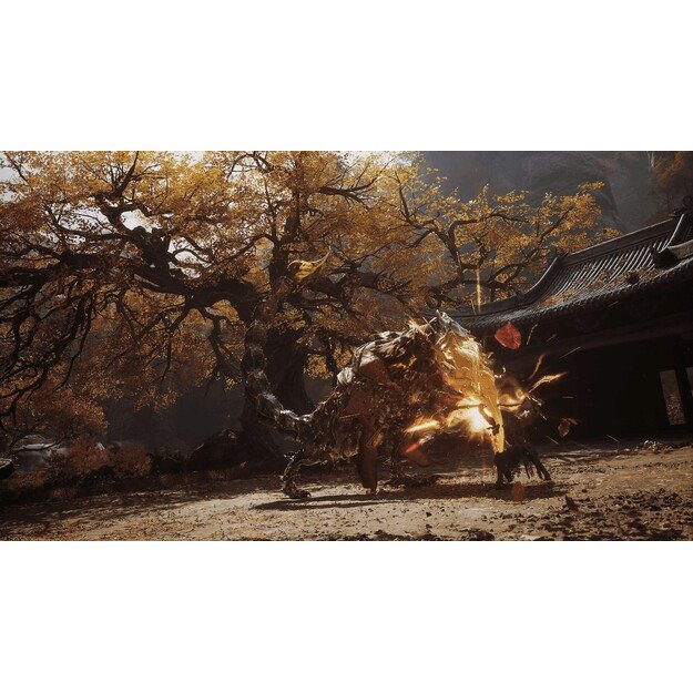 Black Myth: Wukong (Import)

  - PlayStation 5