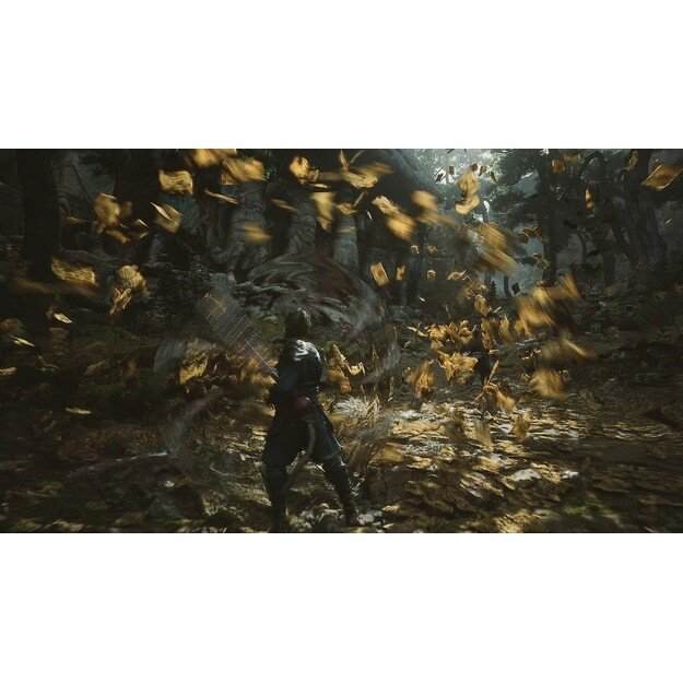 Black Myth: Wukong (Import)

  - PlayStation 5