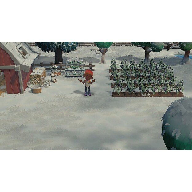 Hokko Life
      
        - Nintendo Switch