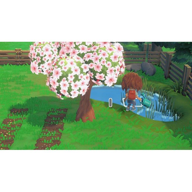 Hokko Life
      
        - Nintendo Switch