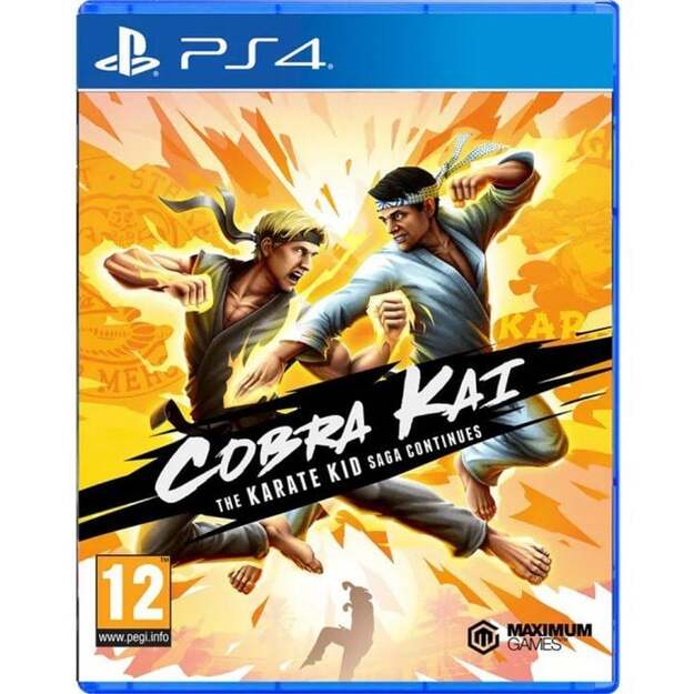 Cobra Kai: The Karate Kid Saga Continues
      
        - PlayStation 4