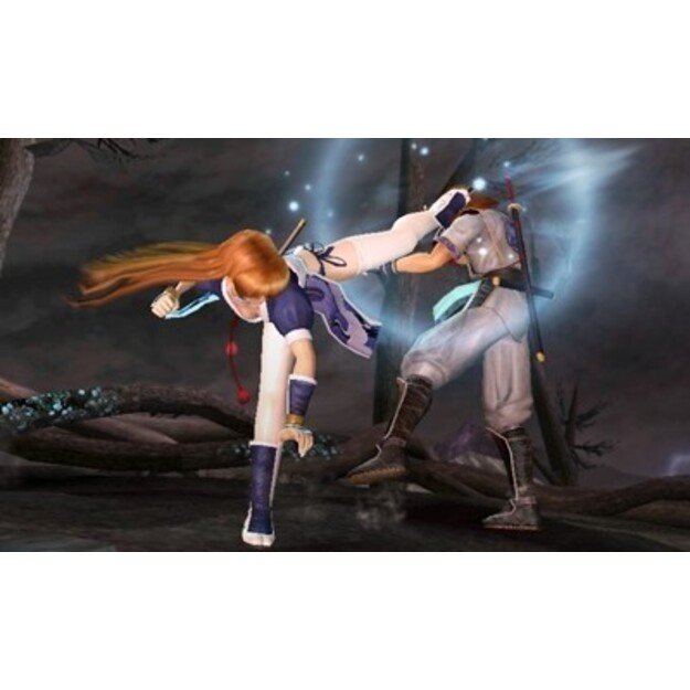 Dead or Alive Dimensions
      
        - Nintendo 3DS