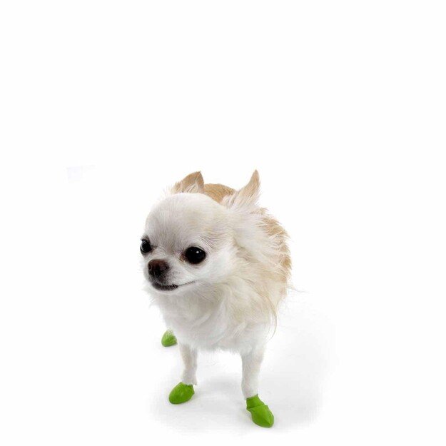 PAWZ - Dog Boots Tiny - Apple Green (632.8040)