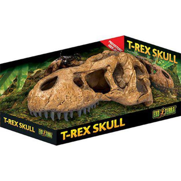 EXOTERRA - Cave T Rex Skull  - (222.2059)