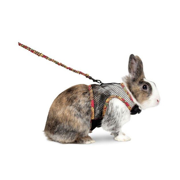 Flamingo - Harness with leash for rabbit - (5415245149301)