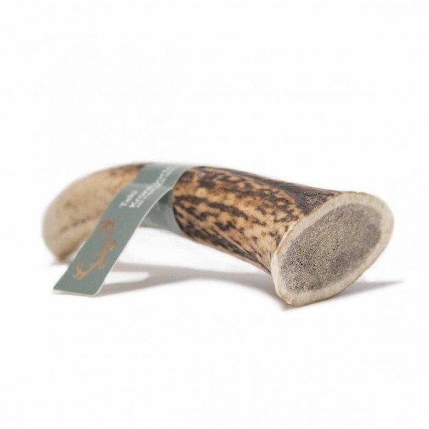 Taki - Deer Antler  XL 18cm - (01-608)