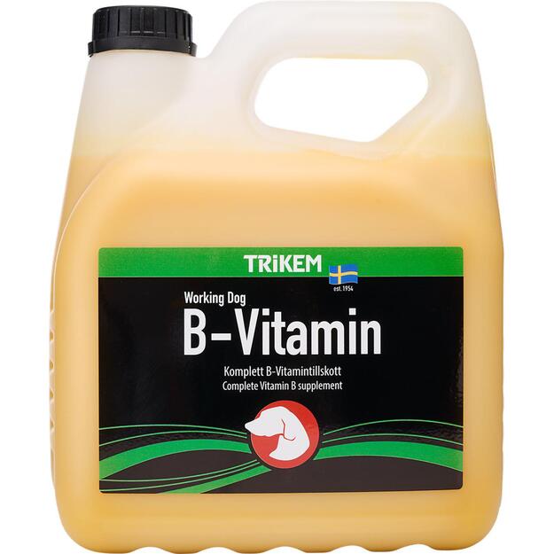 TRIKEM - B-Vitamin 3L - (721.2023)