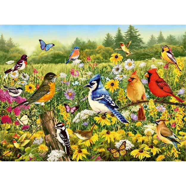 Ravensburger - Puzzle Birds in the Meadow 500p (12000336)