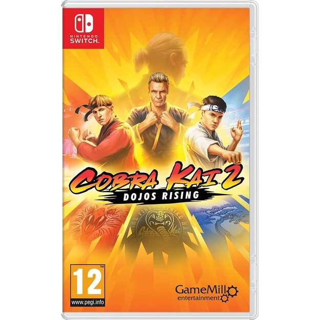 Cobra Kai 2: Dojos Rising
      
        - Nintendo Switch