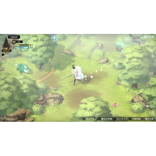 Witch Spring 3 Re:Fine -The Story of the Marionette Witch Eirudy- (Import)
      
        - Nintendo Switch