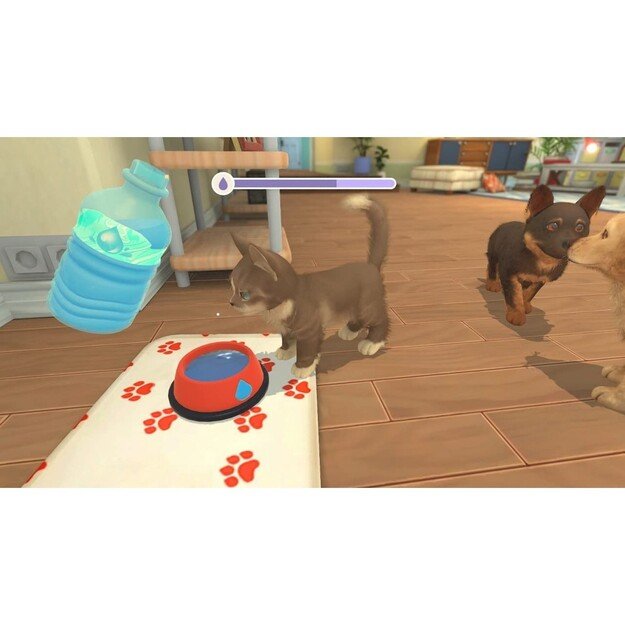 My Universe (Pets Edition Bundle)
      
        - Nintendo Switch