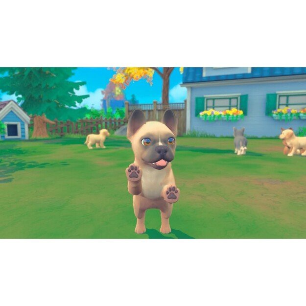 My Universe (Pets Edition Bundle)
      
        - Nintendo Switch