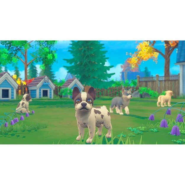 My Universe (Pets Edition Bundle)
      
        - Nintendo Switch