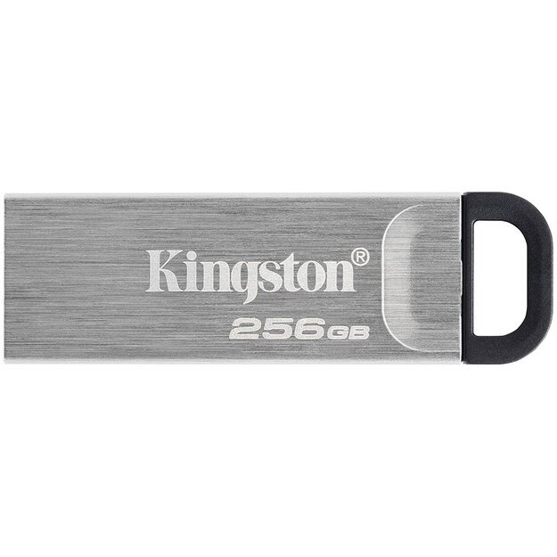 Memory USB flash KINGSTON DTKN/256GB