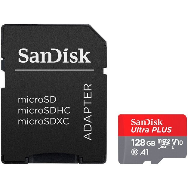 Memory Flash cards SANDISK SDSQQNR-128G-GN6IA