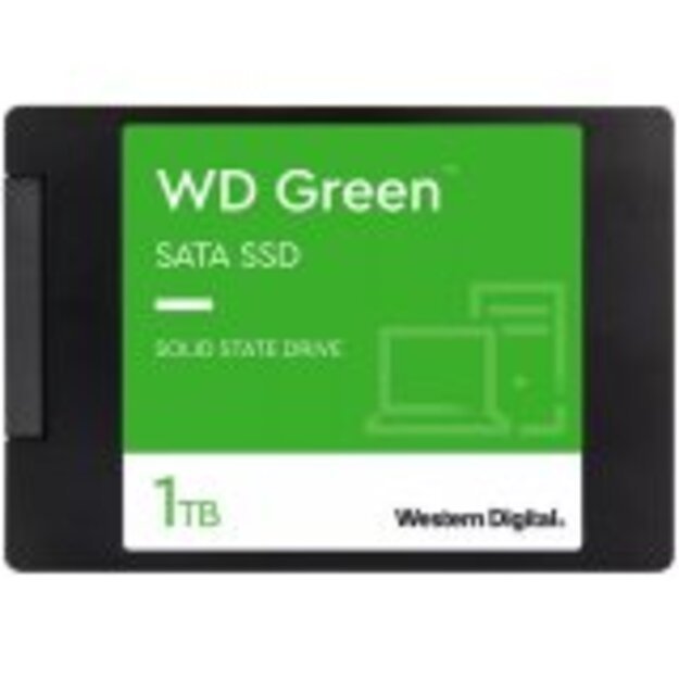 SSD Client WESTERN DIGITAL WDS100T3G0A-00BJG0