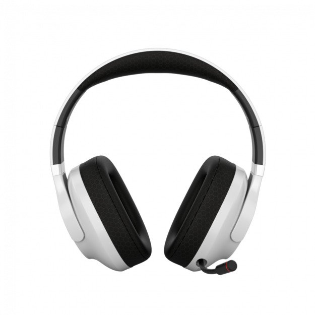 Gaming Headset CANYON CND-SGHS16W
