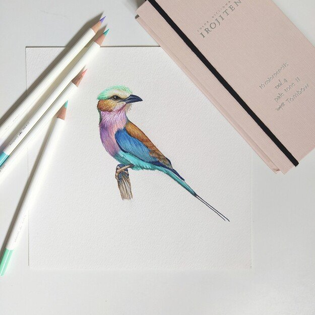 Tombow - Coloring pencils Irojiten