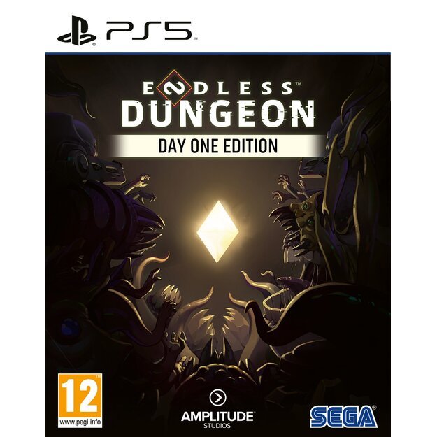 Endless Dungeon (Day One Edition)
      
        - PlayStation 5