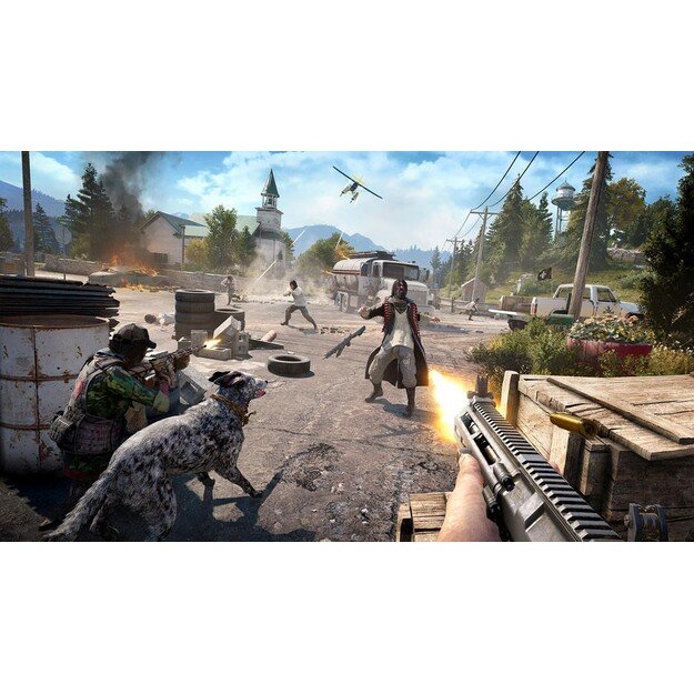 Far Cry 5
      
        - PlayStation 4