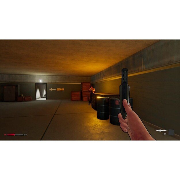 XIII Remake
      
        - Nintendo Switch