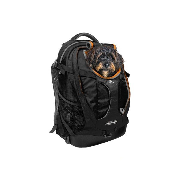 KURGO - G-Train Dog Carrier Backpack, Black - (81314601683)