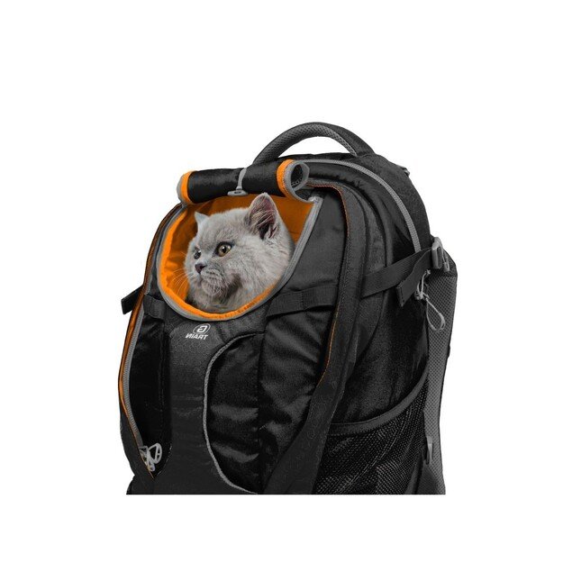 KURGO - G-Train Dog Carrier Backpack, Black - (81314601683)