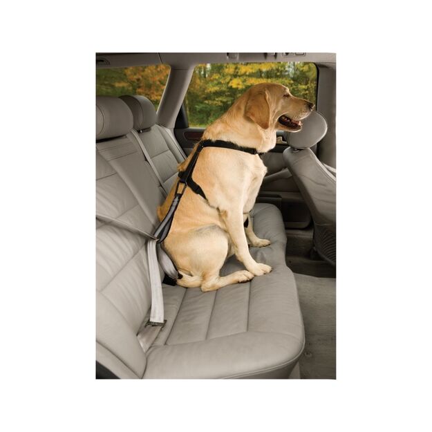 KURGO - Safety strap for the car seat belt - (81314601187)