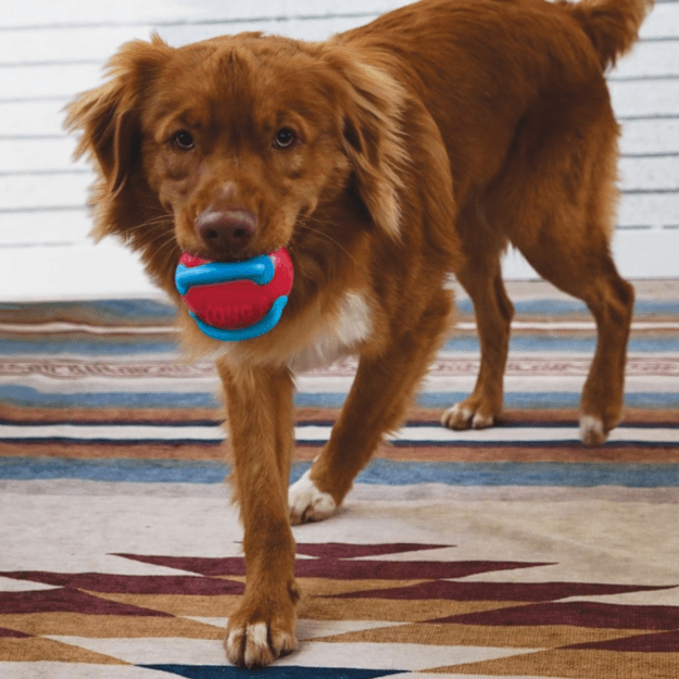 Kong - Jaxx Brights Ball Assorted Large