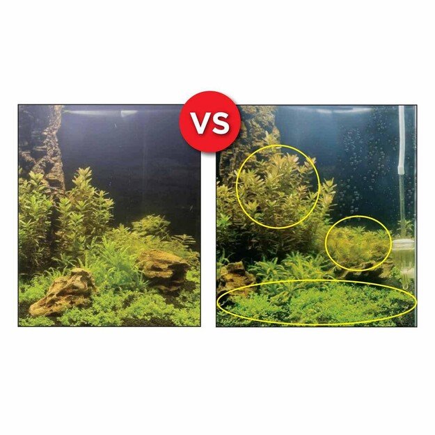Fluval  - Bio Co2 Set 125L - (141.8930)