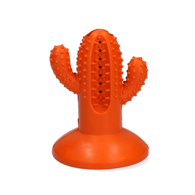 AFP - Dental Cactus Medium Orange 12,3 cm - (AFPH04197)