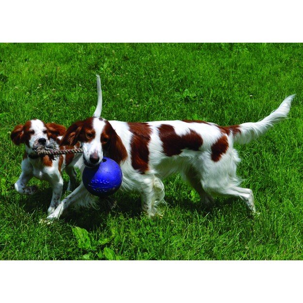 Jolly Pets - Ball Romp-n-Roll 20cm Blue - (JOLL051F)