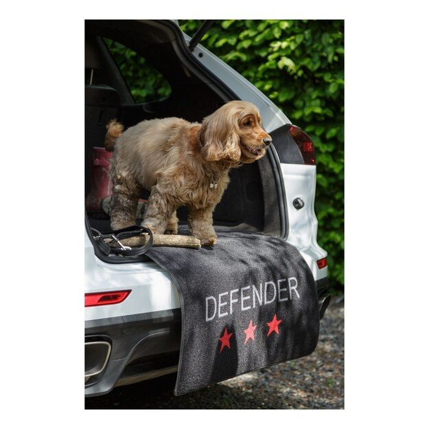 Pet Rebellion - Car Defender Carpet Protection - 100x155cm - (869165975190)