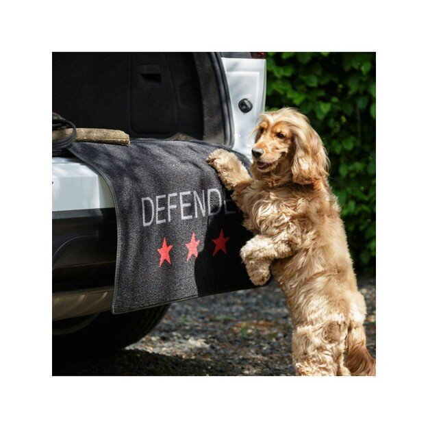 Pet Rebellion - Car Defender Carpet Protection - 100x155cm - (869165975190)