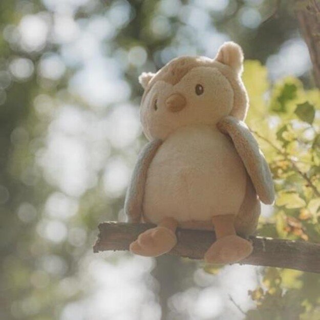 Little Dutch - Cuddle Owl Forest Friends (LD8903)