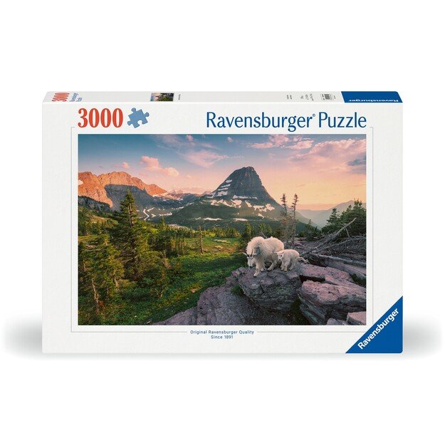 Ravensburger - Puzzle Foto City Landscape 3000p (12000809)