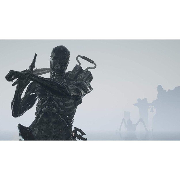 Mortal Shell
      
        - PlayStation 4