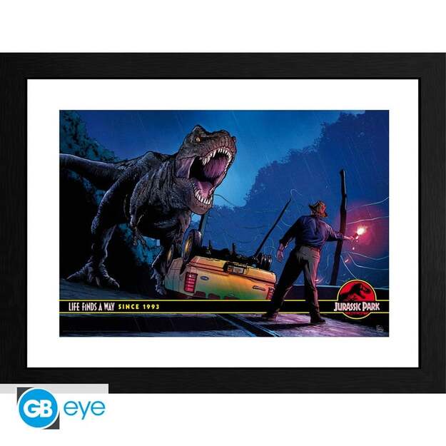 JURASSIC PARK - Framed print 