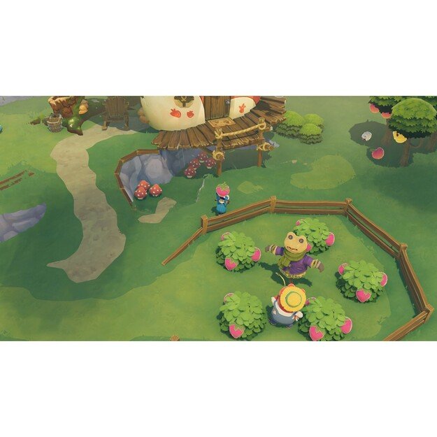 Time on Frog Island
      
        - Nintendo Switch