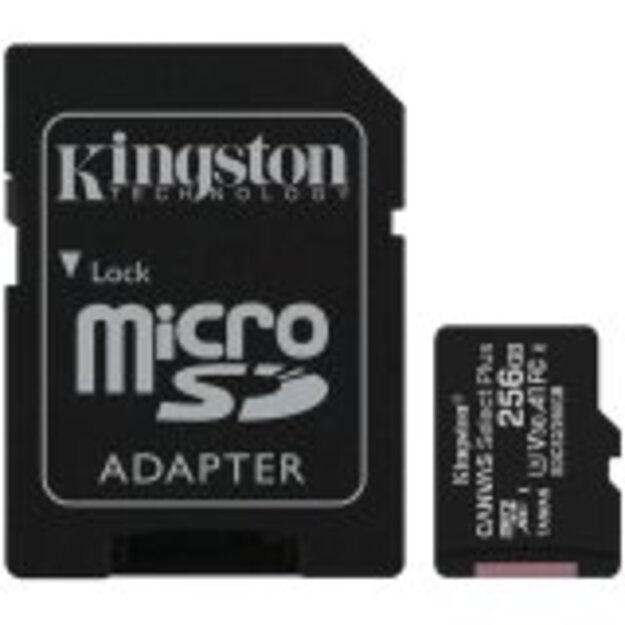 Memory Flash cards KINGSTON SDCS2/256GB