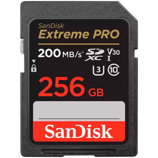 Memory Flash cards SANDISK SDSDXXD-256G-GN4IN