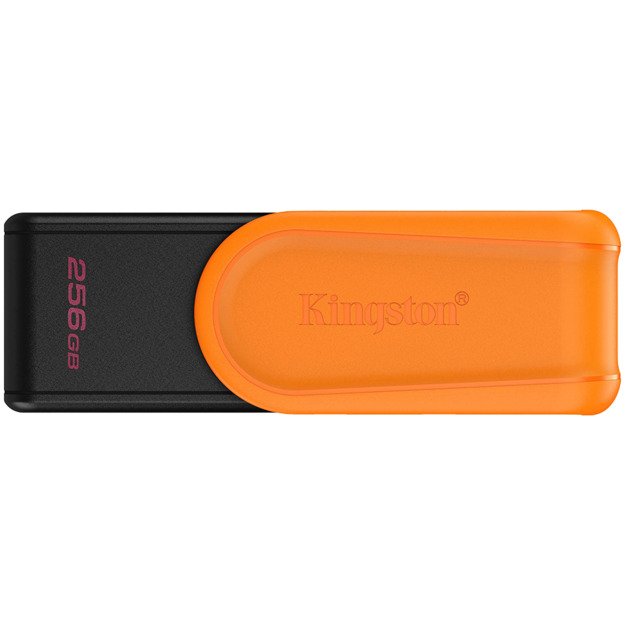Memory USB flash KINGSTON DTXS/256GB