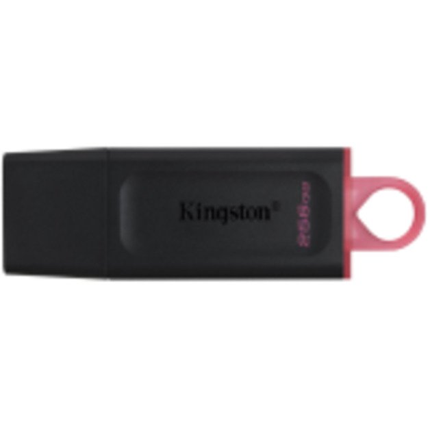 Memory USB flash KINGSTON DTXS/256GB