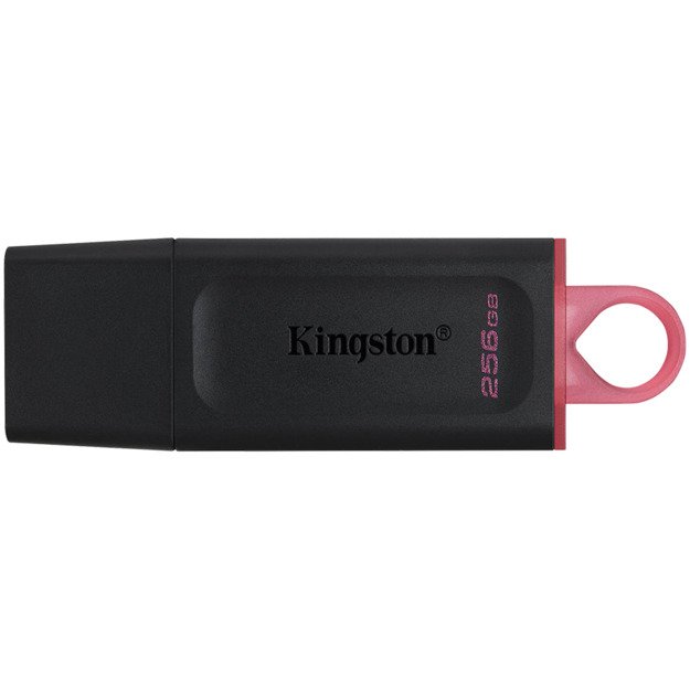 Memory USB flash KINGSTON DTXS/256GB