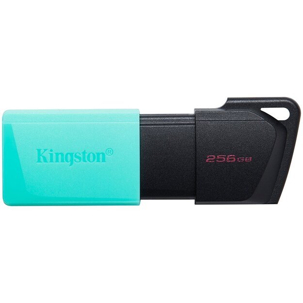 Memory USB flash KINGSTON DTXM/256GB 1