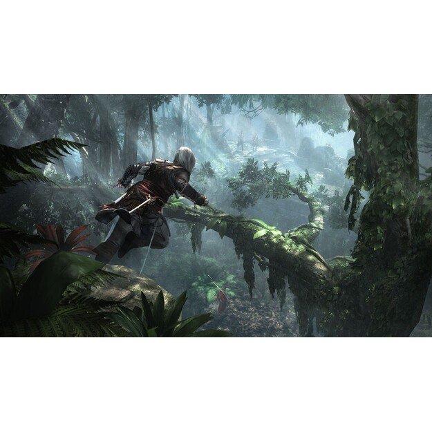 Assassin's Creed IV: Black Flag (Playstation Hits)
      
        - PlayStation 4