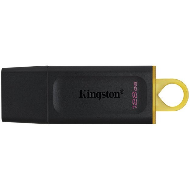 Memory USB flash KINGSTON DTX/128GB 1