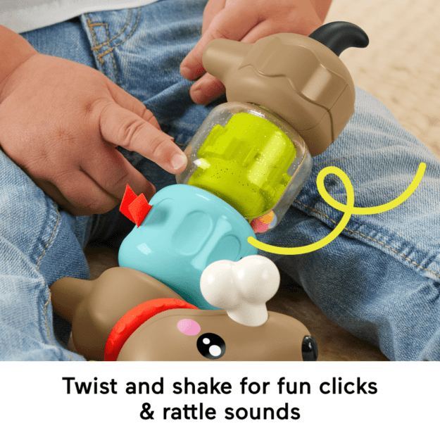 Fisher Price Infant – Click and Spin Activity Pup (HTW91)