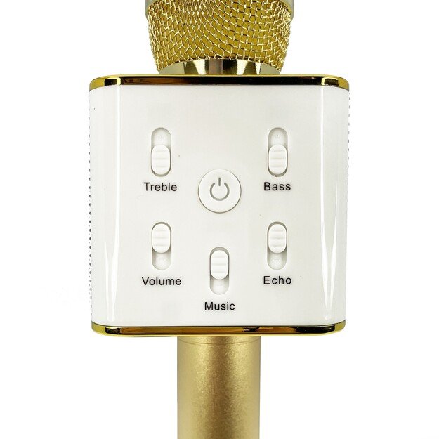 OTL - Karaoke microphone with speaker - Rainbow High (RH0929)